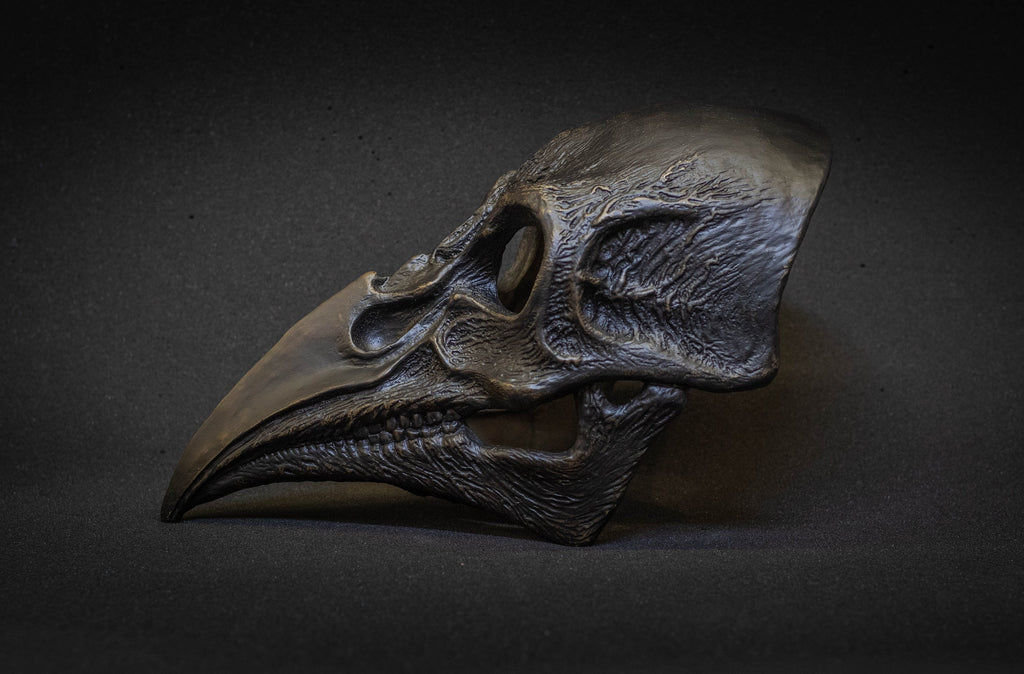 Plague Doctor mask Bird skull with a movable jaw.