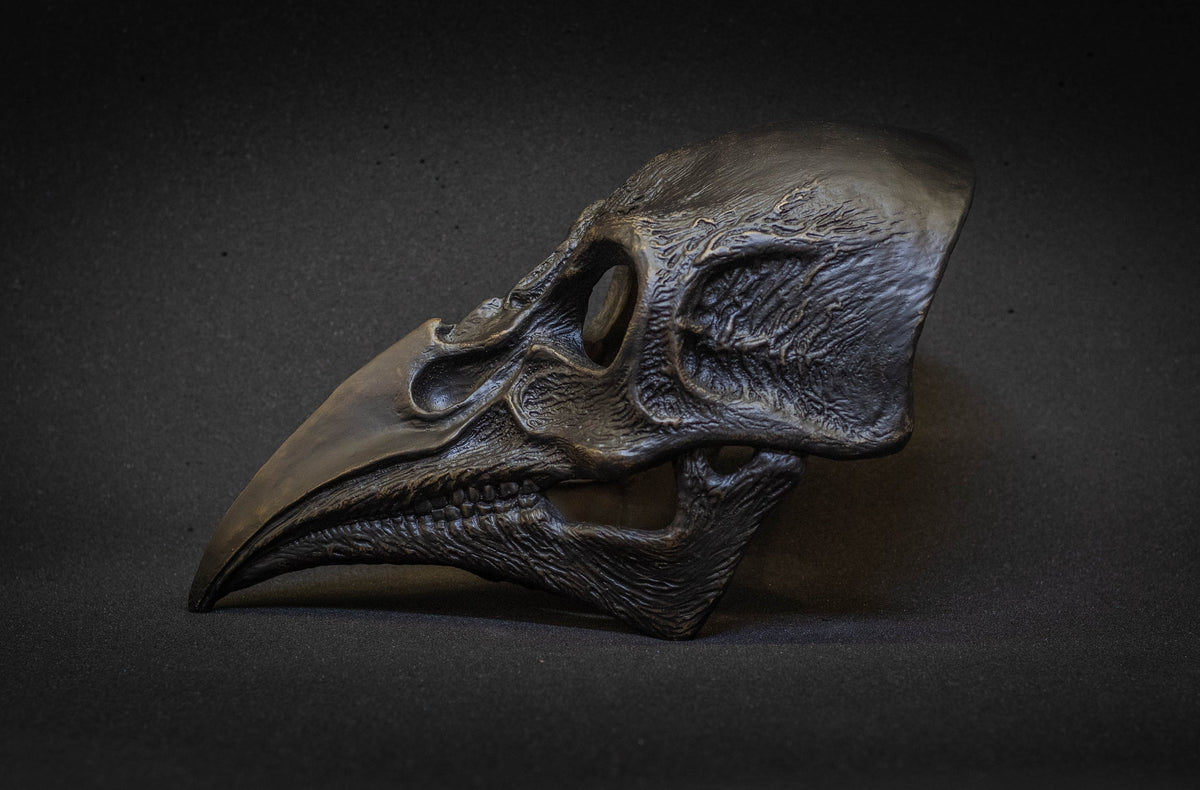 Plague Doctor mask Bird skull with a movable jaw.