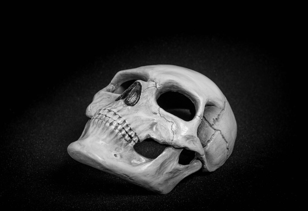 Human Skull Mask full face with   light  white bone finish