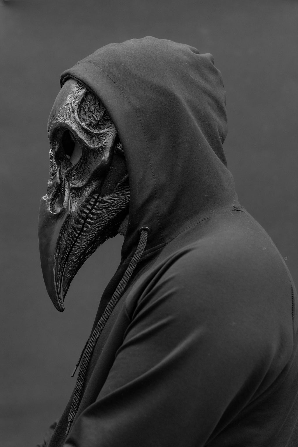 Plague Doctor mask Bird skull with a movable jaw.