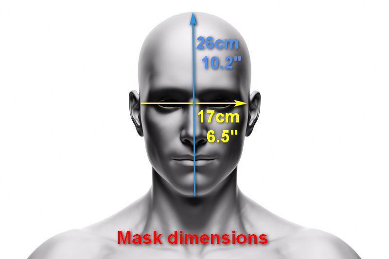 Black skull mask with gold scuffs for cosplay or gift