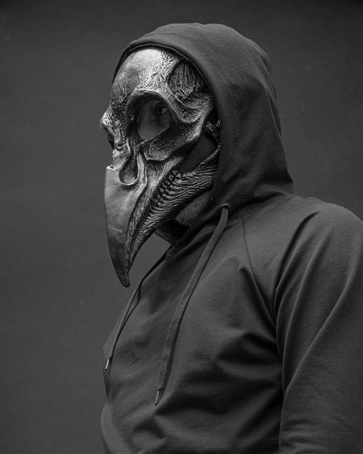 Plague Doctor mask Bird skull with a movable jaw.