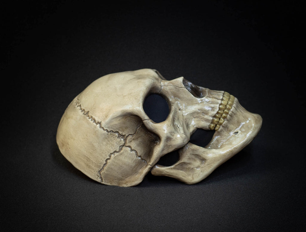 Human Skull Mask full face with realistic teeth and bone shape