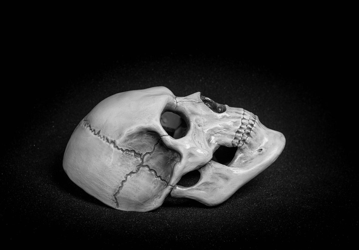 Human Skull Mask full face with   light  white bone finish