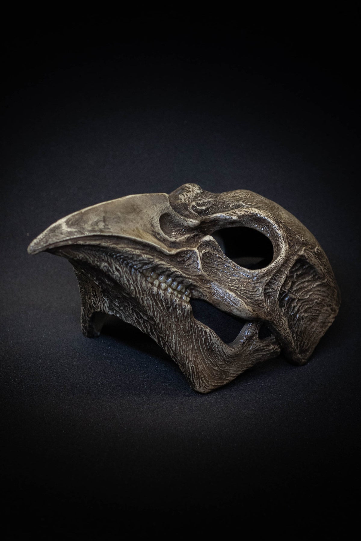 Plague Doctor mask Bird skull  bone shape with a movable jaw