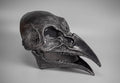 Plague Doctor mask Bird skull with a movable jaw and silver scratches.