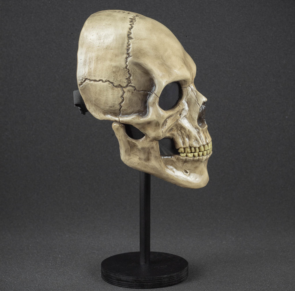 Human Skull Mask full face with realistic teeth and bone shape