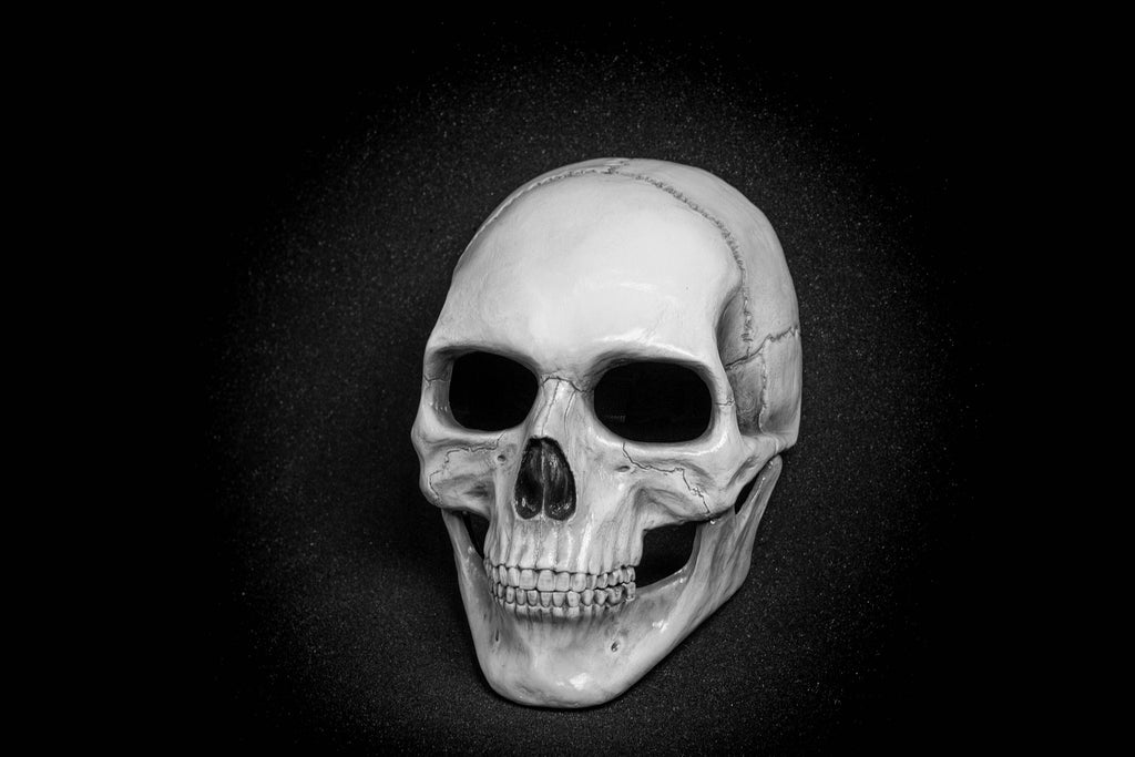 Human Skull Mask full face with   light  white bone finish