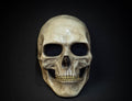 Human Skull Mask full face with realistic teeth and bone shape