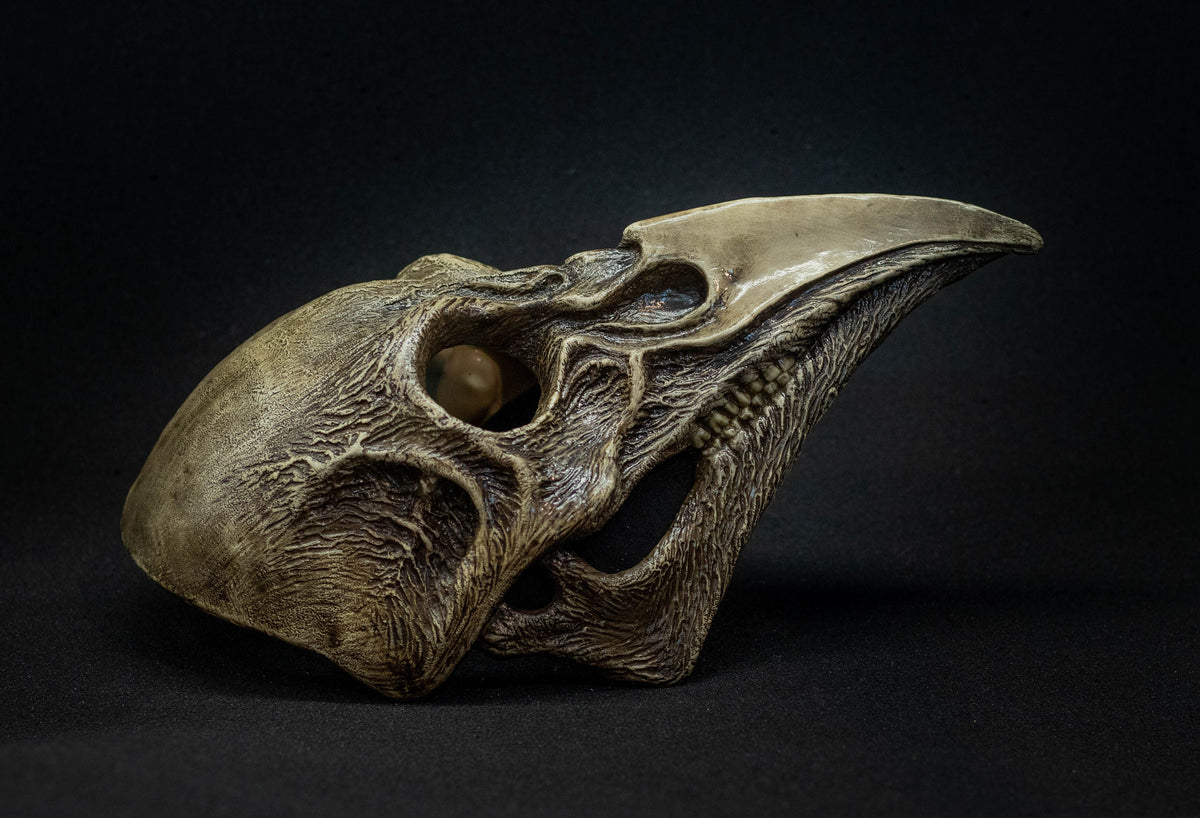 Plague Doctor mask Bird skull  bone shape with a movable jaw