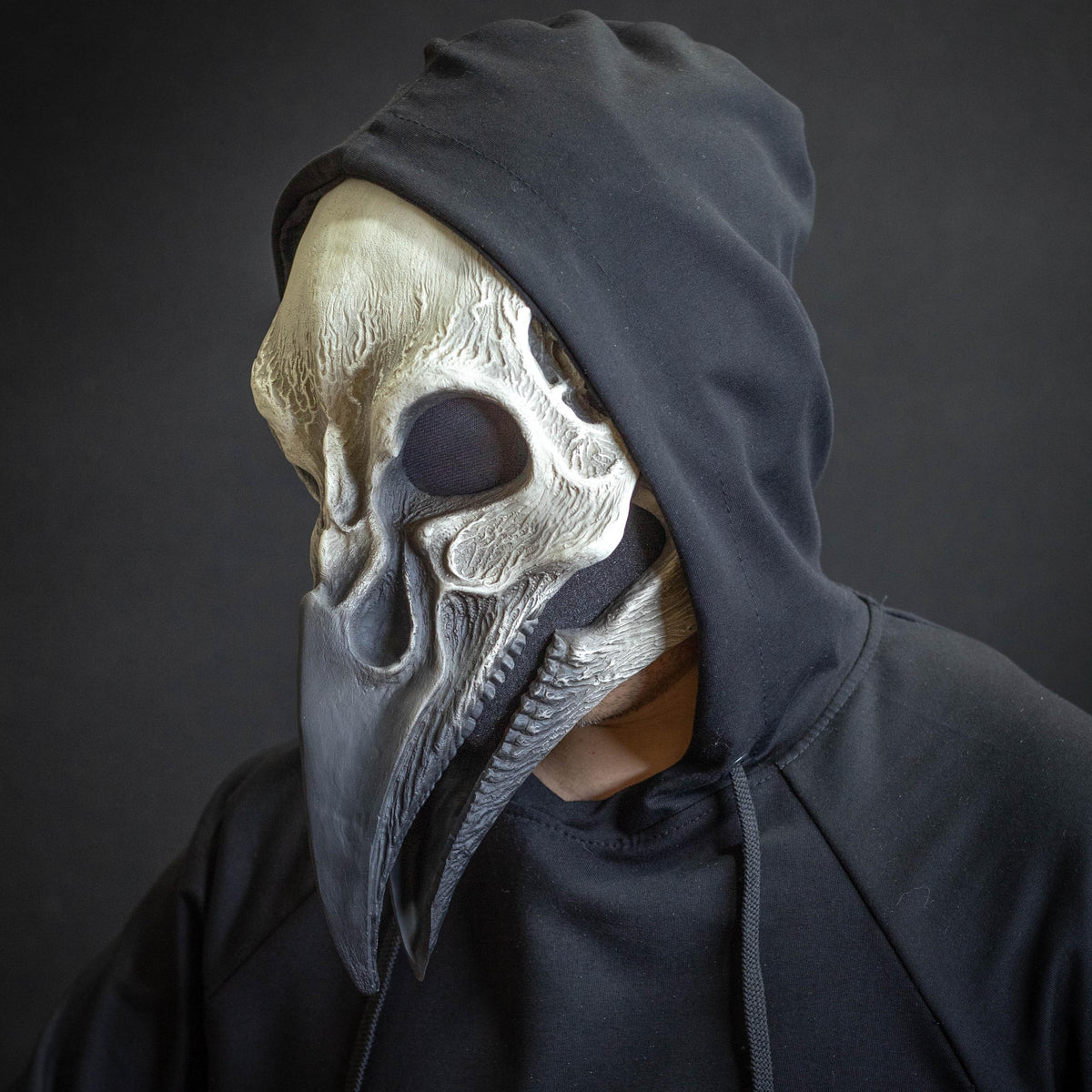 Plague Doctor mask Bird skull with a movable jaw white and black shape