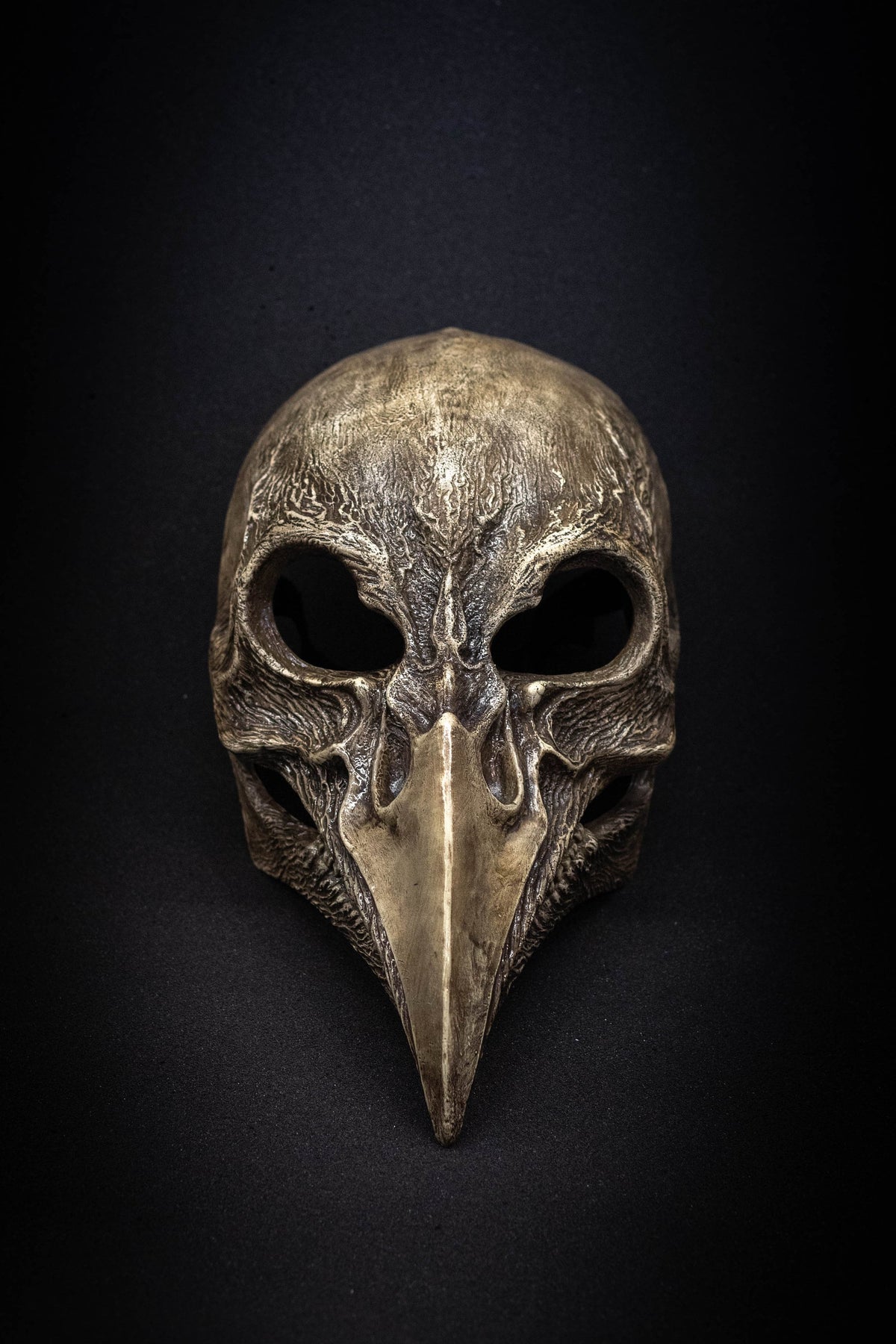 Plague Doctor mask Bird skull  bone shape with a movable jaw