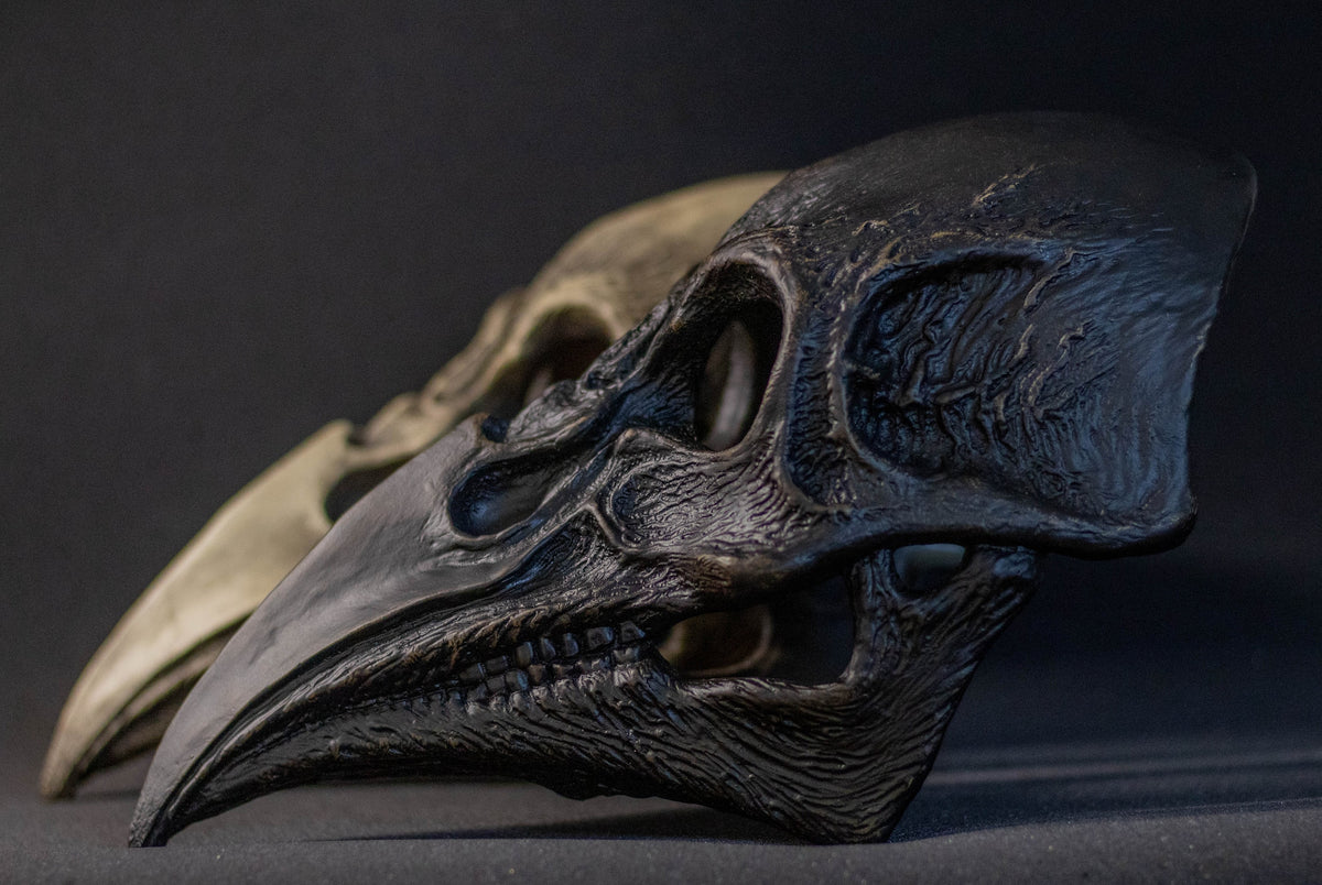 Plague Doctor mask Bird skull with a movable jaw.