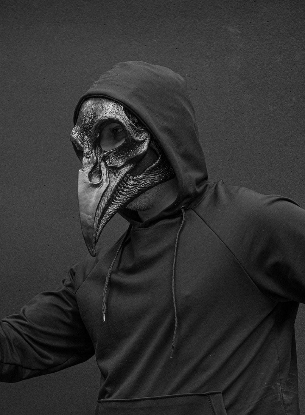 Plague Doctor mask Bird skull with a movable jaw.