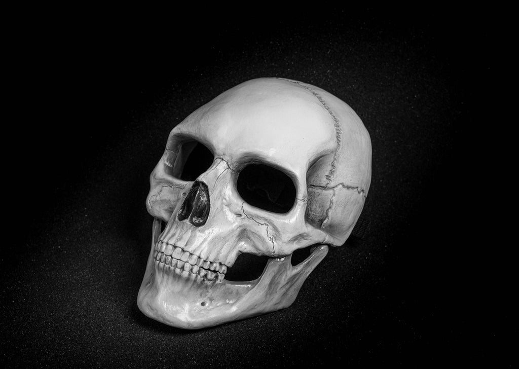 Human Skull Mask full face with   light  white bone finish