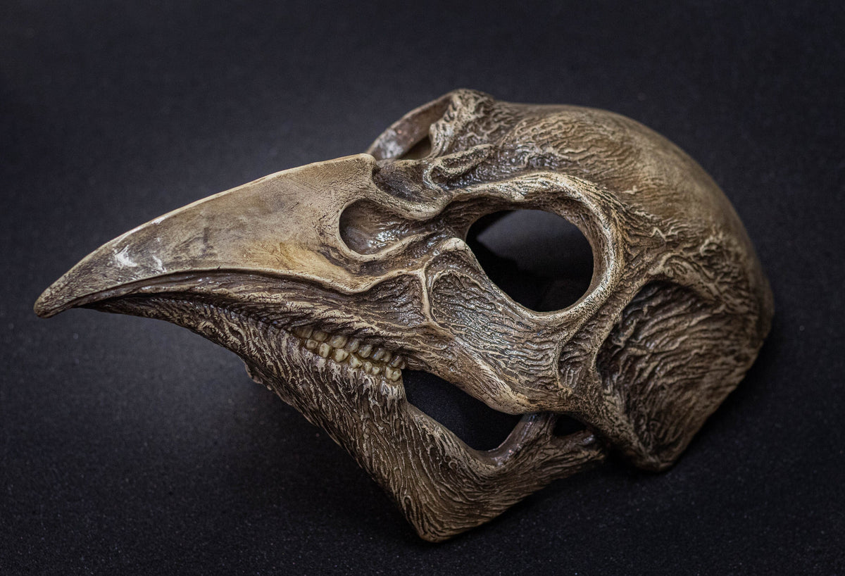 Plague Doctor mask Bird skull  bone shape with a movable jaw