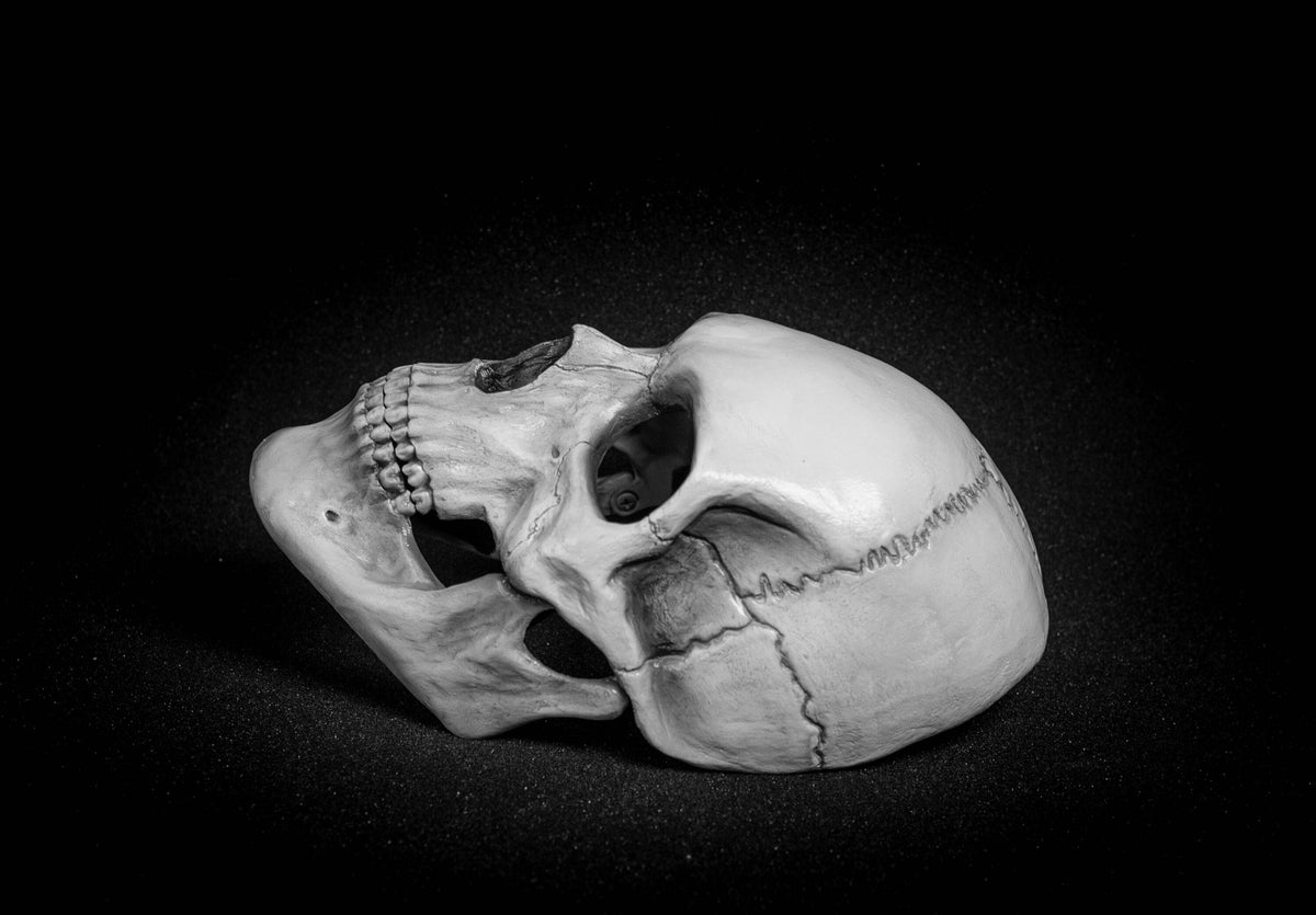 Human Skull Mask full face with   light  white bone finish