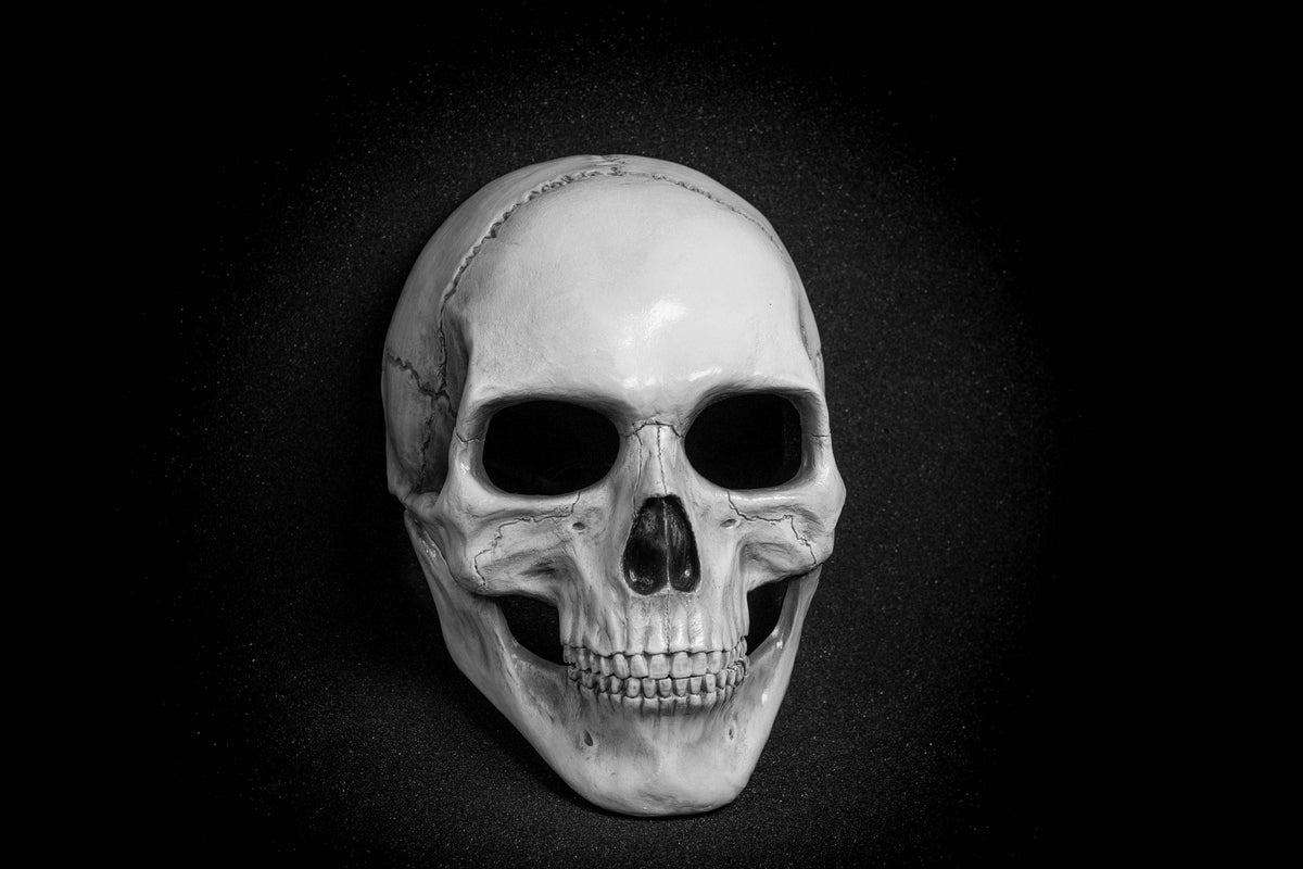 Human Skull Mask full face with   light  white bone finish