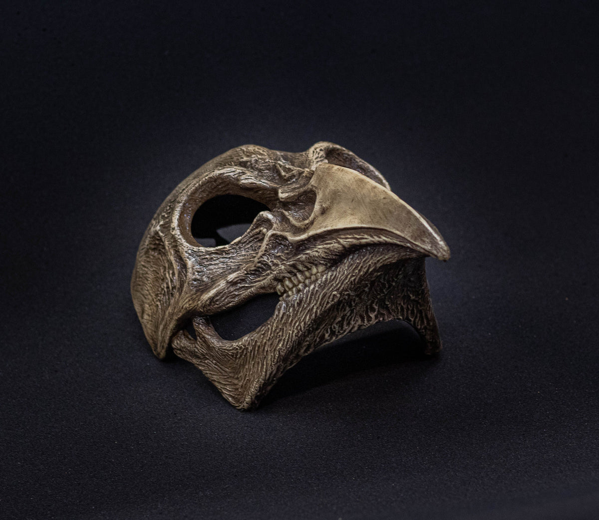 Plague Doctor mask Bird skull  bone shape with a movable jaw