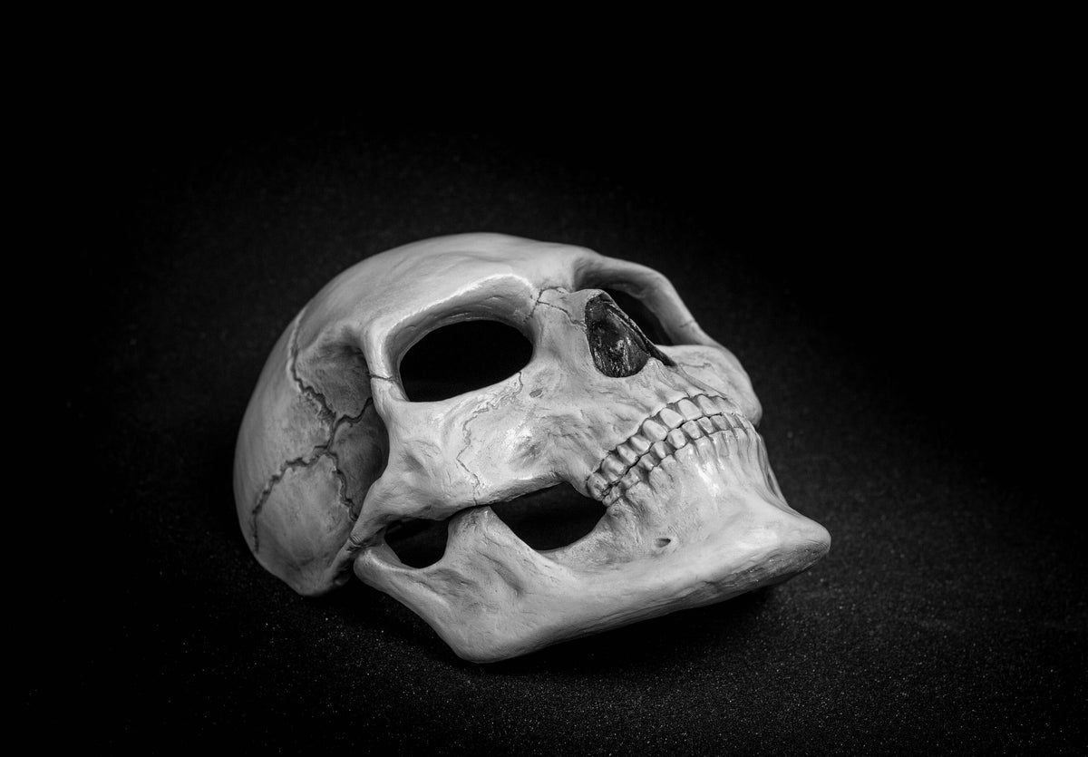 Human Skull Mask full face with   light  white bone finish