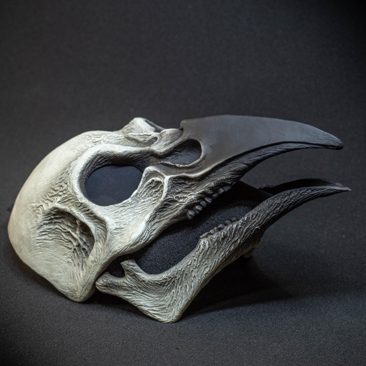 Plague Doctor mask Bird skull with a movable jaw white and black shape